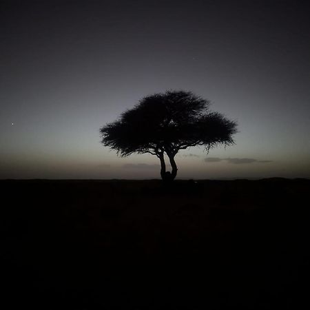 Mhamid Sahara Camp - Mhamid El Ghizlane Hotel มามิด ภายนอก รูปภาพ