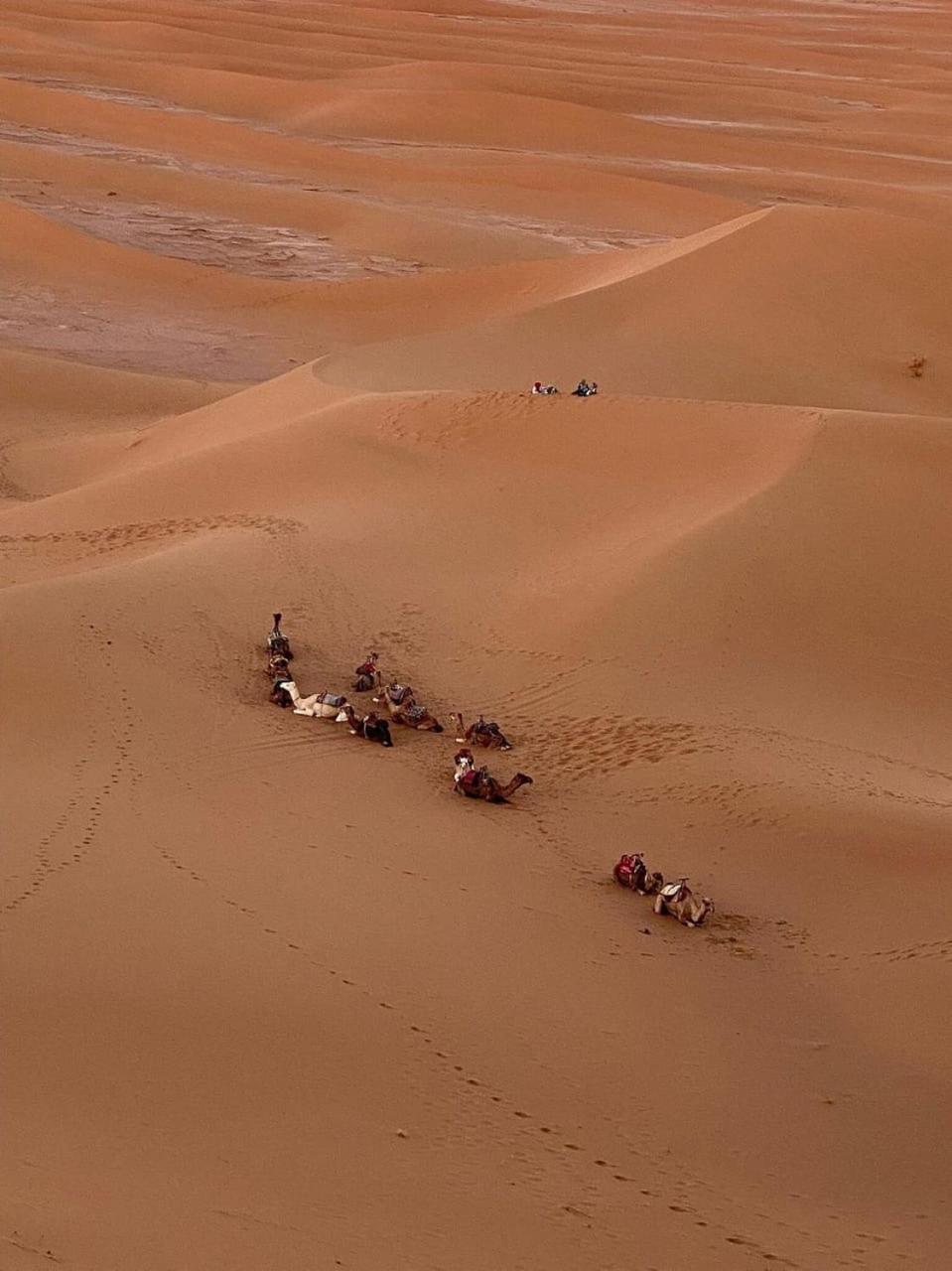 Mhamid Sahara Camp - Mhamid El Ghizlane Hotel มามิด ภายนอก รูปภาพ