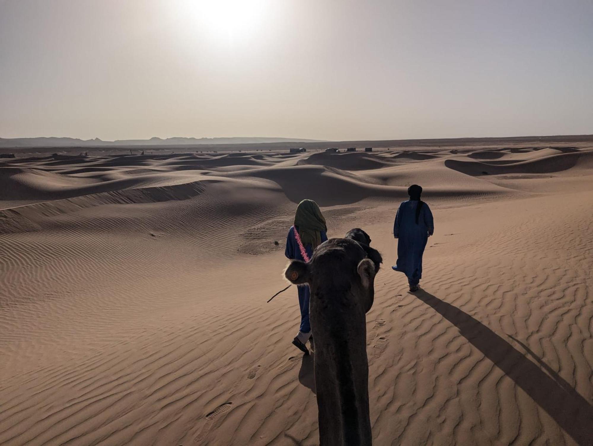 Mhamid Sahara Camp - Mhamid El Ghizlane Hotel มามิด ภายนอก รูปภาพ