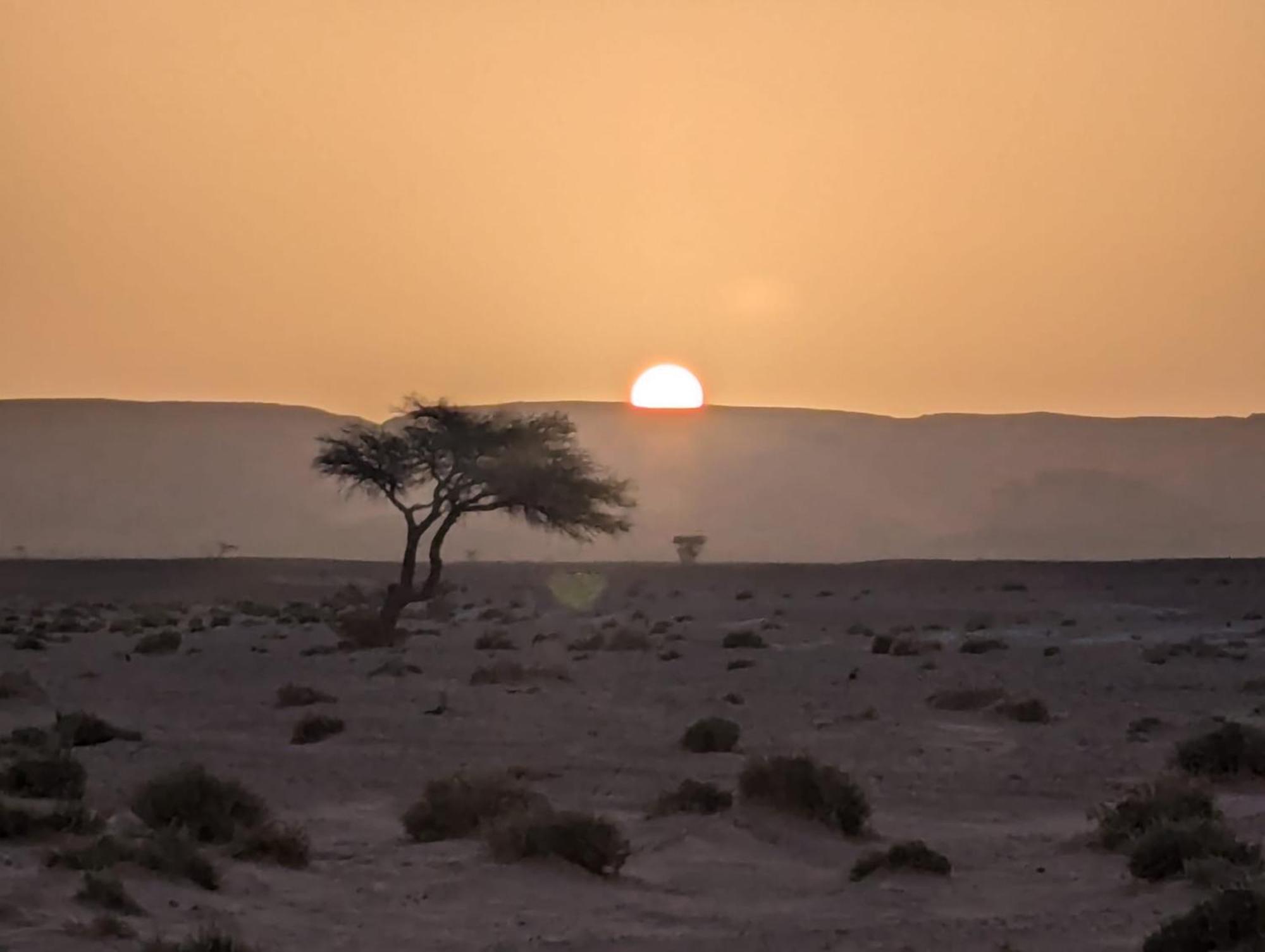 Mhamid Sahara Camp - Mhamid El Ghizlane Hotel มามิด ภายนอก รูปภาพ
