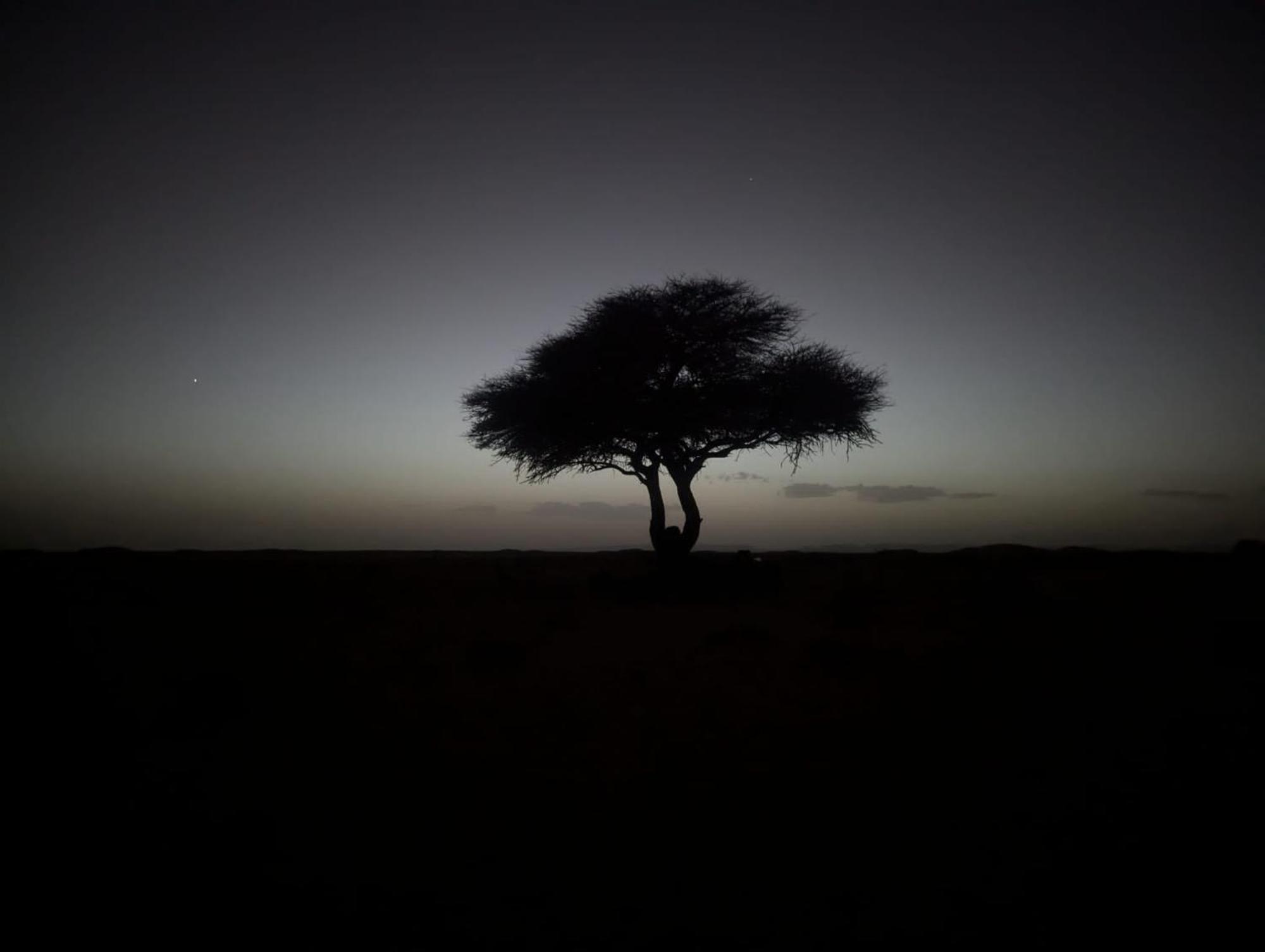 Mhamid Sahara Camp - Mhamid El Ghizlane Hotel มามิด ภายนอก รูปภาพ